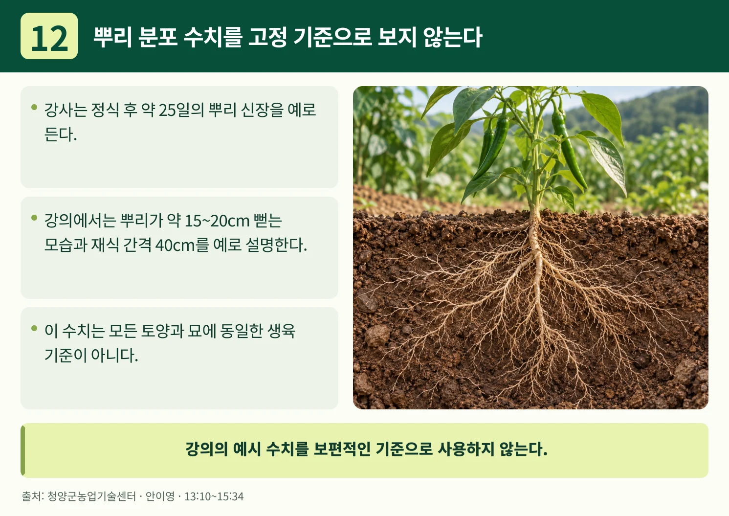 12_뿌리_분포_수치를_고정_기준으로_보지_않는다.webp