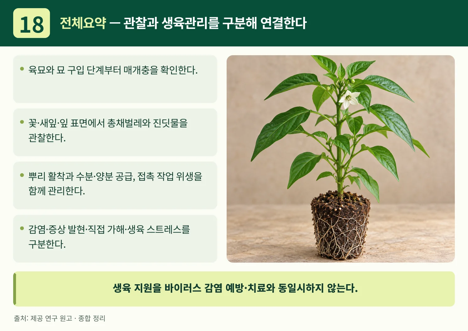 18_전체요약_관찰과_생육관리를_구분해_연결한다.webp