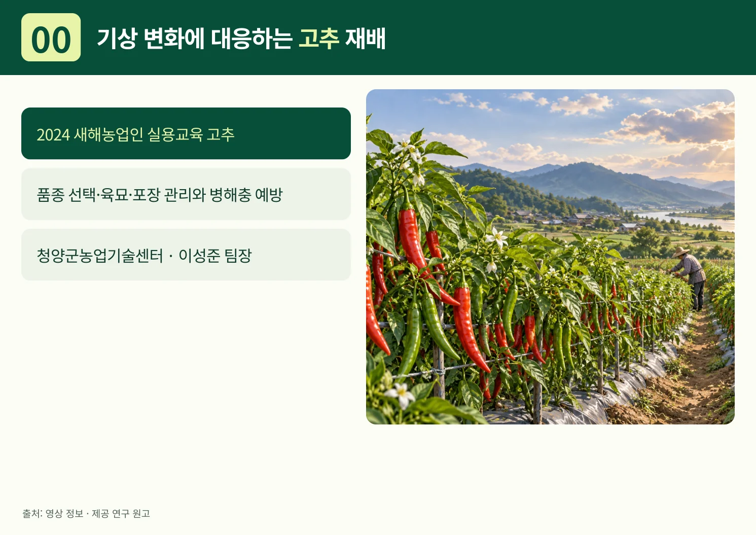 00_기상_변화에_대응하는_고추_재배.webp