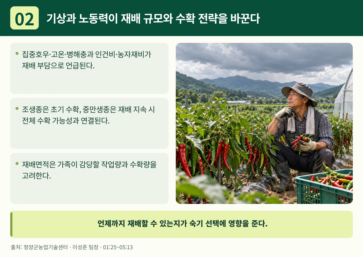 02_기상과_노동력이_재배_규모와_수확_전략을_바꾼다.webp