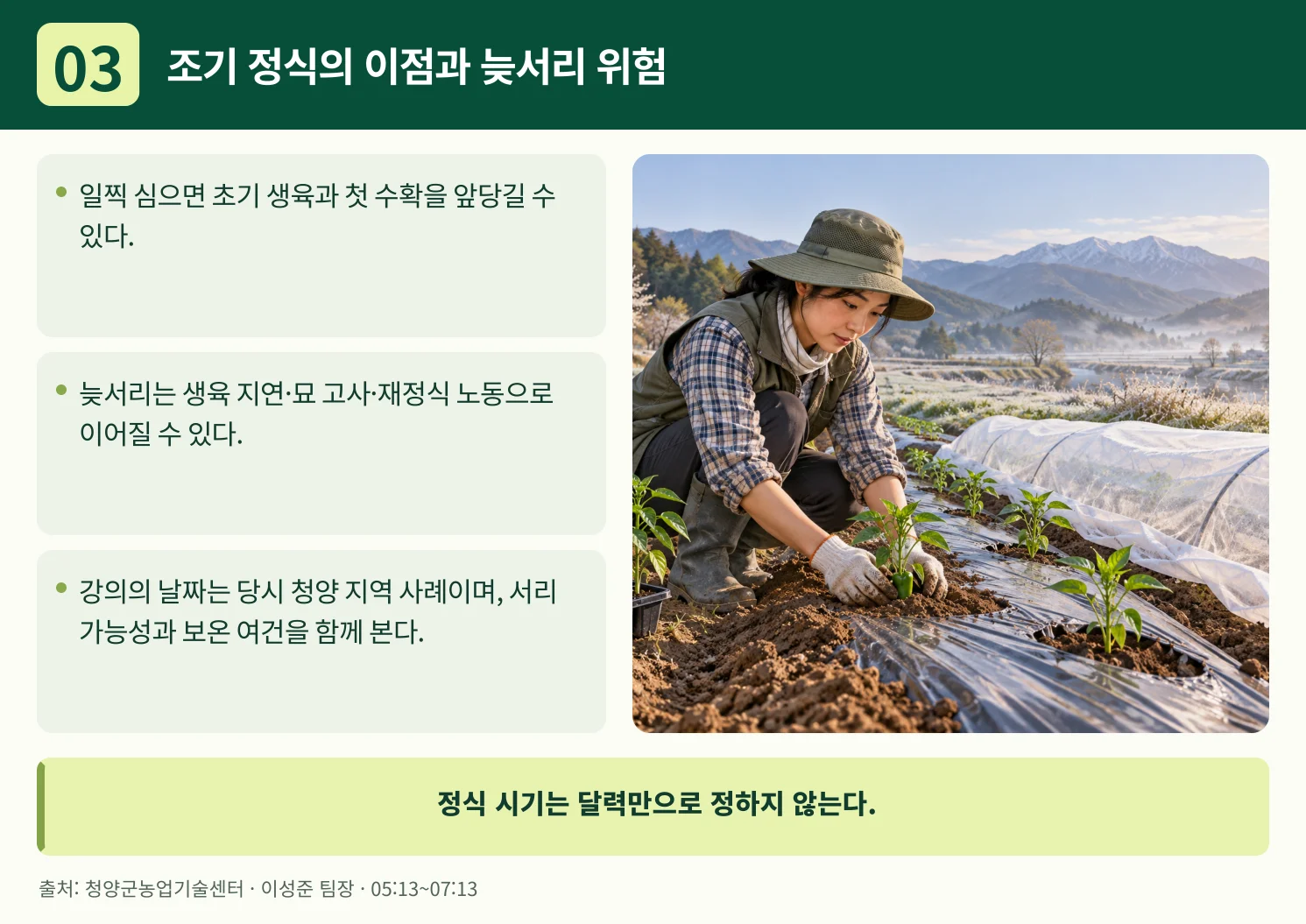 03_조기_정식의_이점과_늦서리_위험.webp