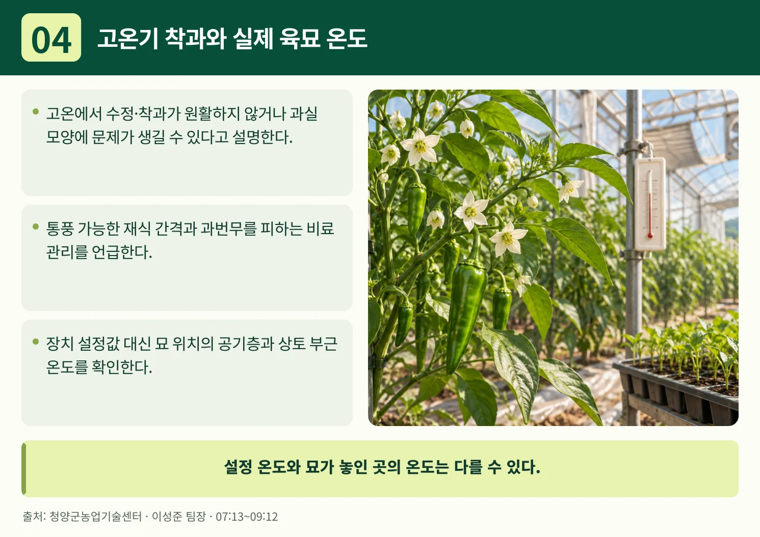 04_고온기_착과와_실제_육묘_온도.webp