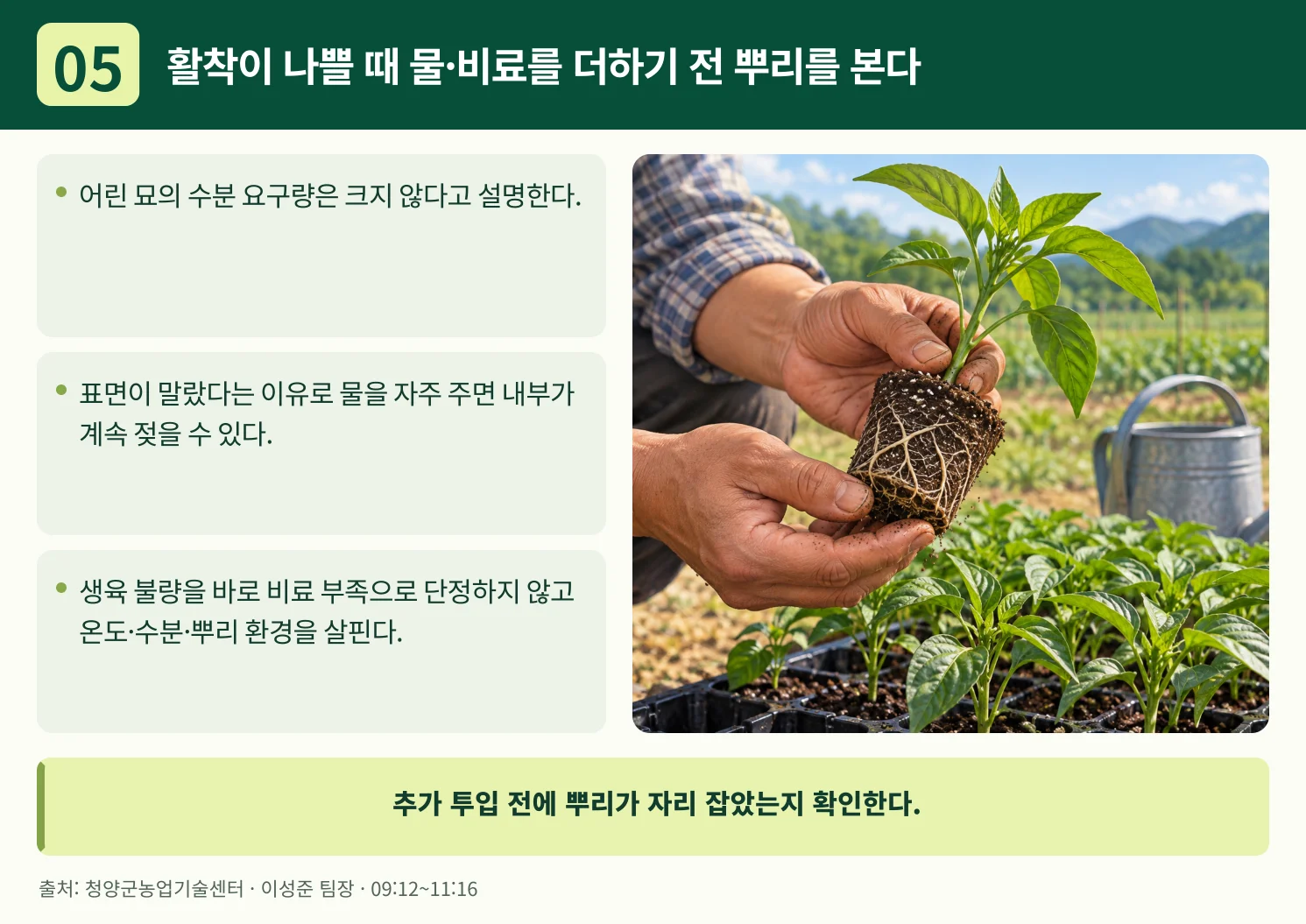 05_활착이_나쁠_때_물·비료를_더하기_전_뿌리를_본다.webp