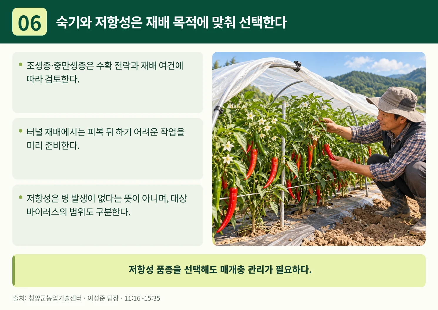 06_숙기와_저항성은_재배_목적에_맞춰_선택한다.webp