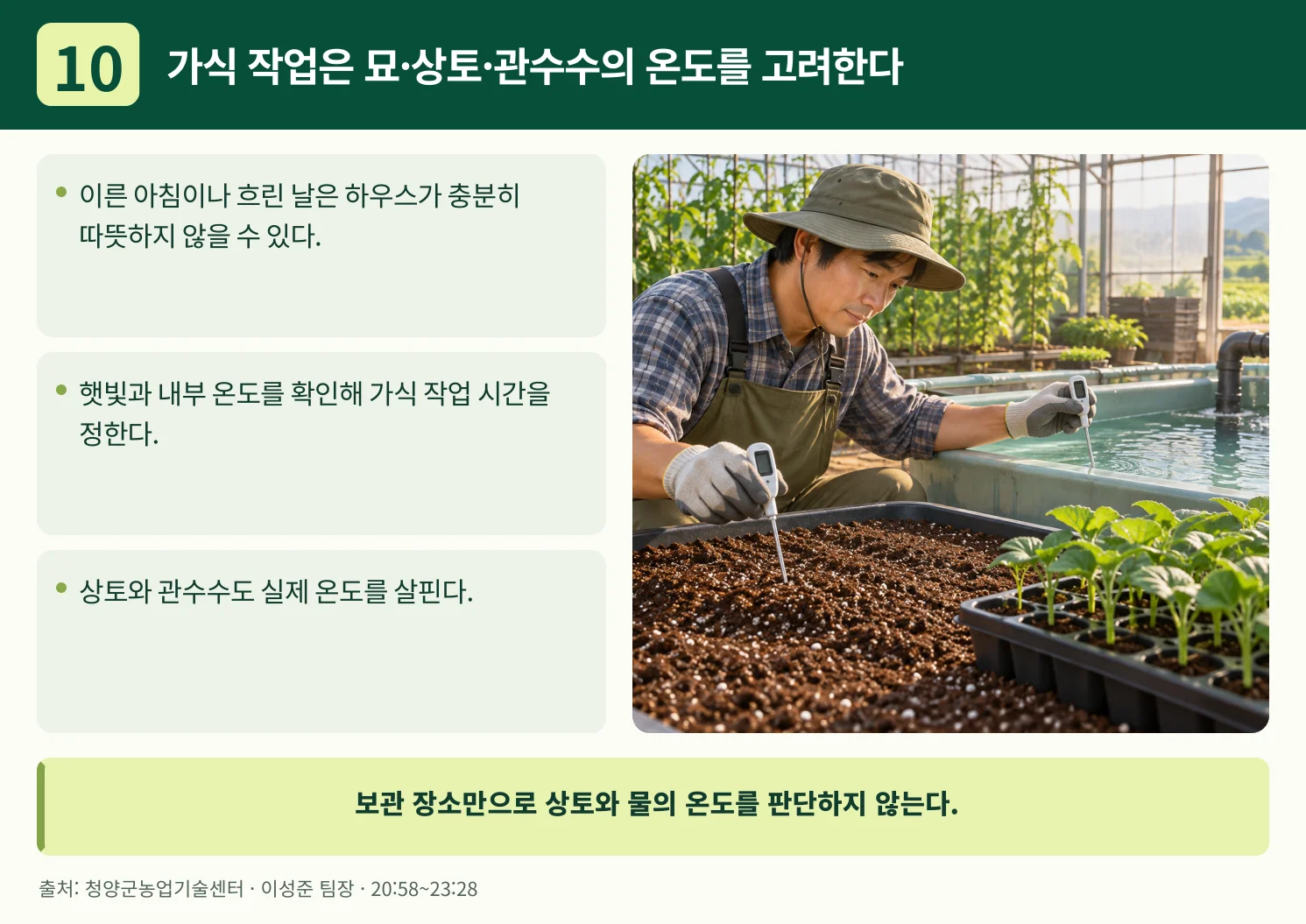 10_가식_작업은_묘·상토·관수수의_온도를_고려한다.webp