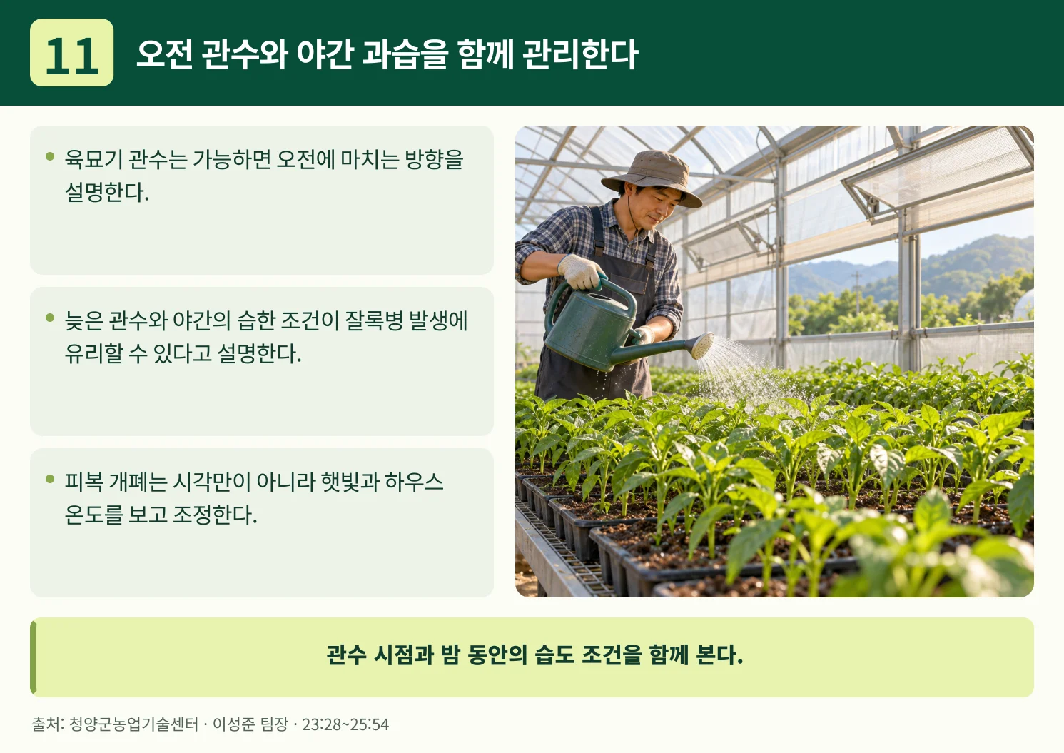 11_오전_관수와_야간_과습을_함께_관리한다.webp