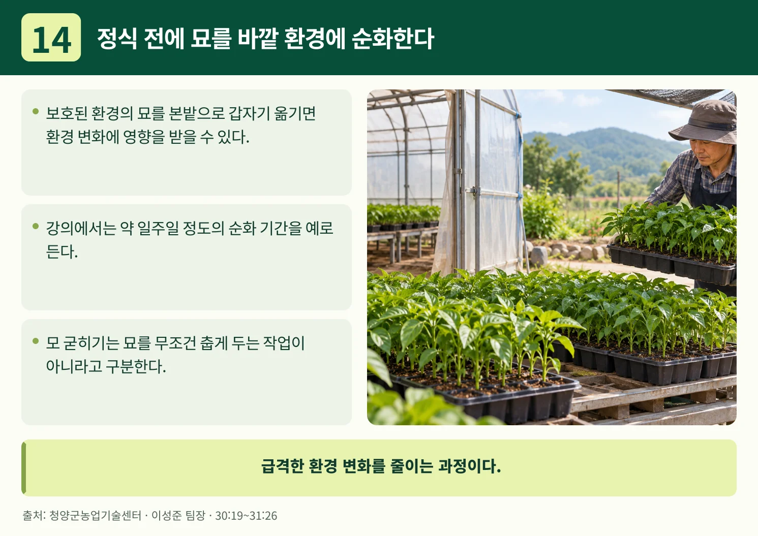 14_정식_전에_묘를_바깥_환경에_순화한다.webp