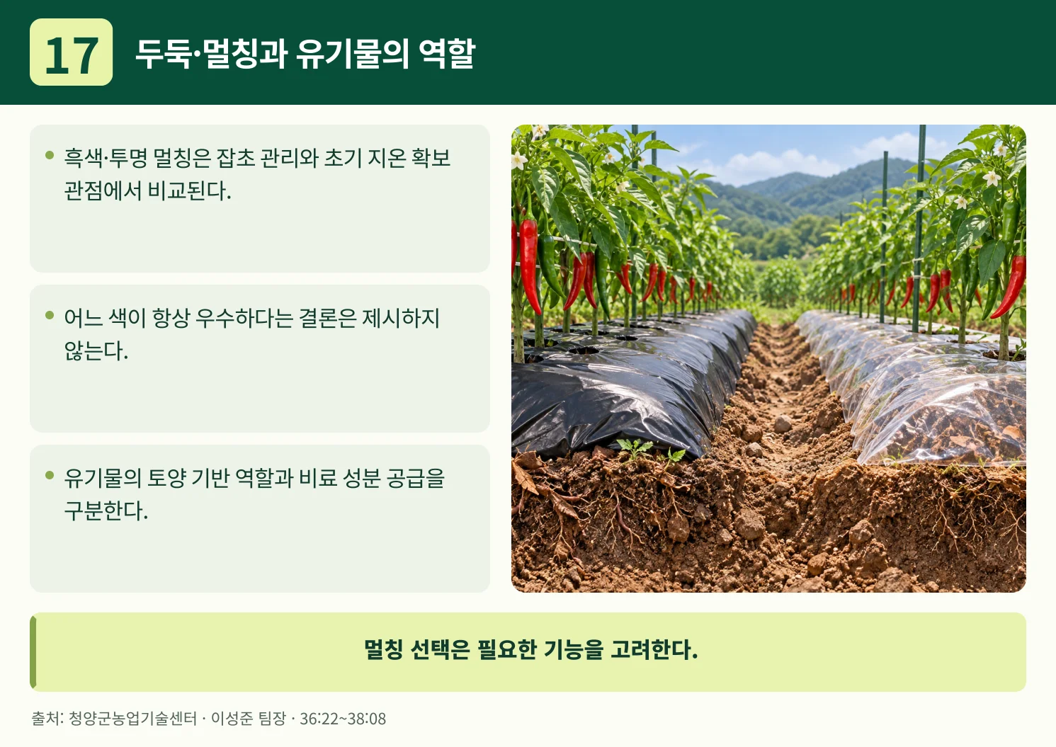 17_두둑·멀칭과_유기물의_역할.webp