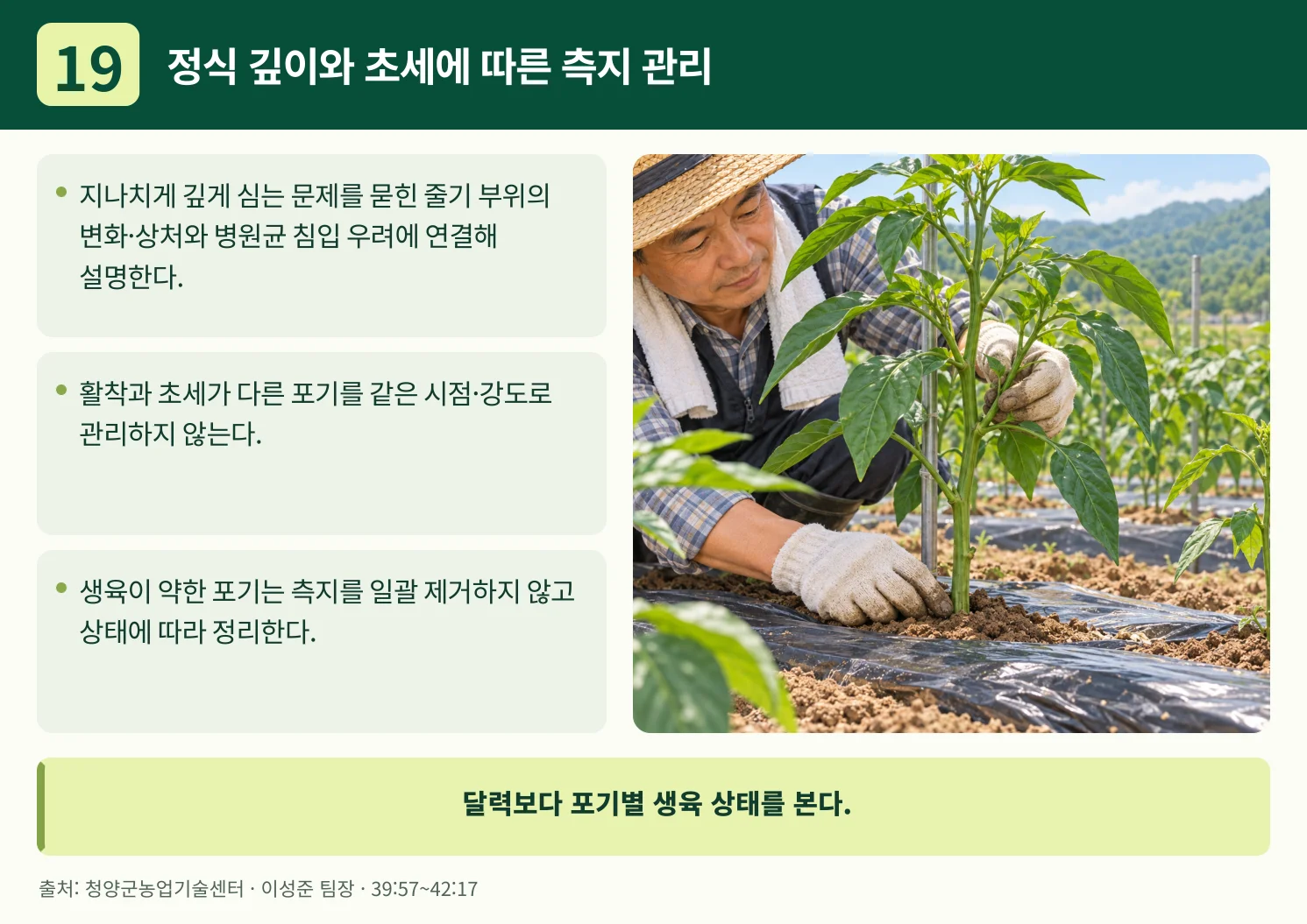 19_정식_깊이와_초세에_따른_측지_관리.webp