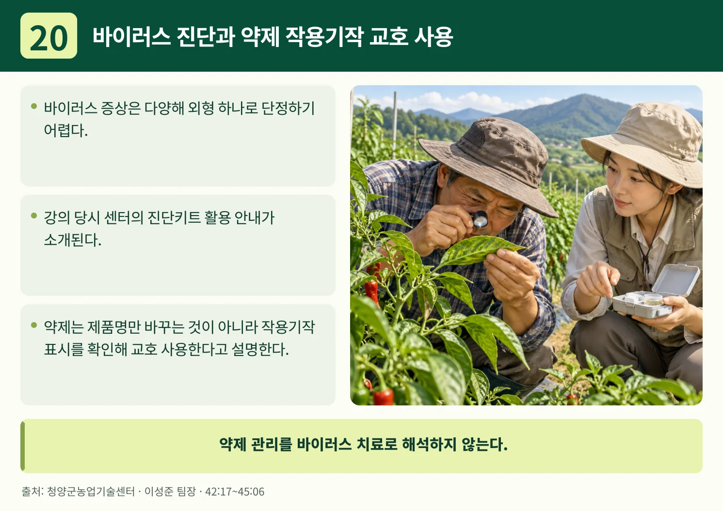 20_바이러스_진단과_약제_작용기작_교호_사용.webp