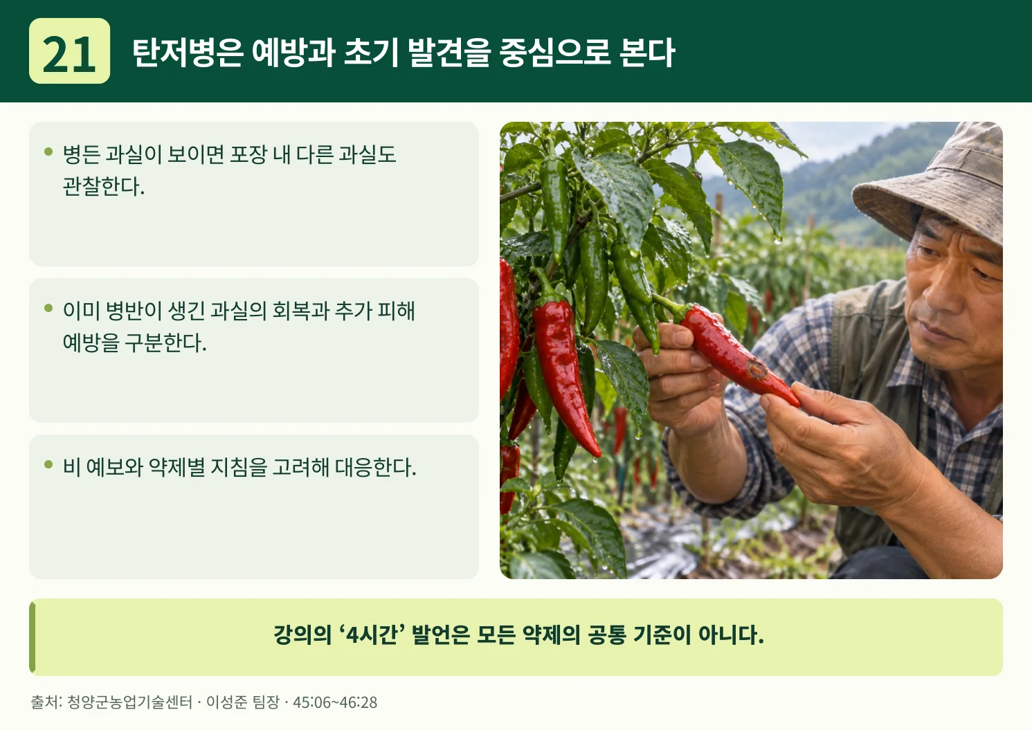 21_탄저병은_예방과_초기_발견을_중심으로_본다.webp