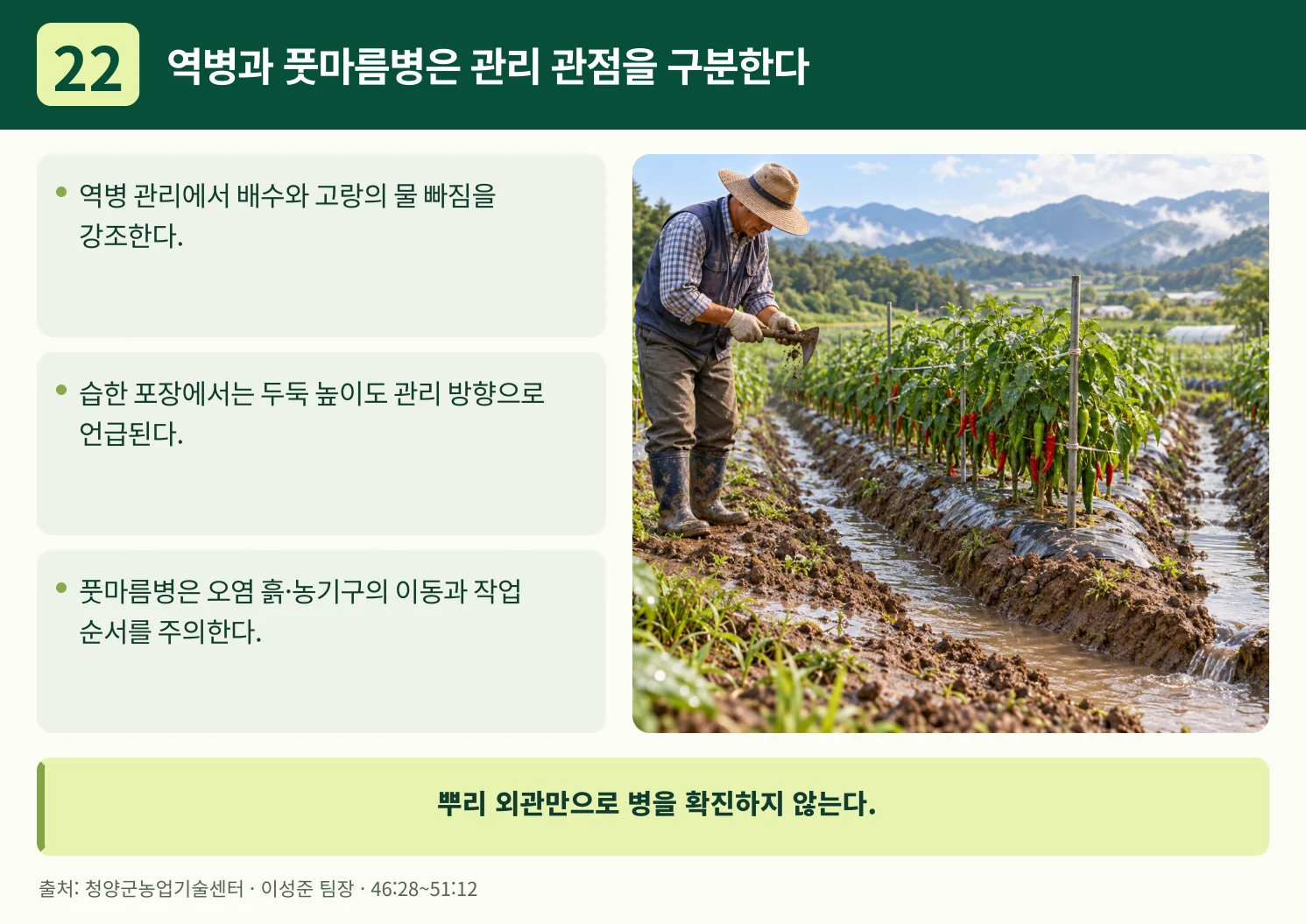 22_역병과_풋마름병은_관리_관점을_구분한다.webp