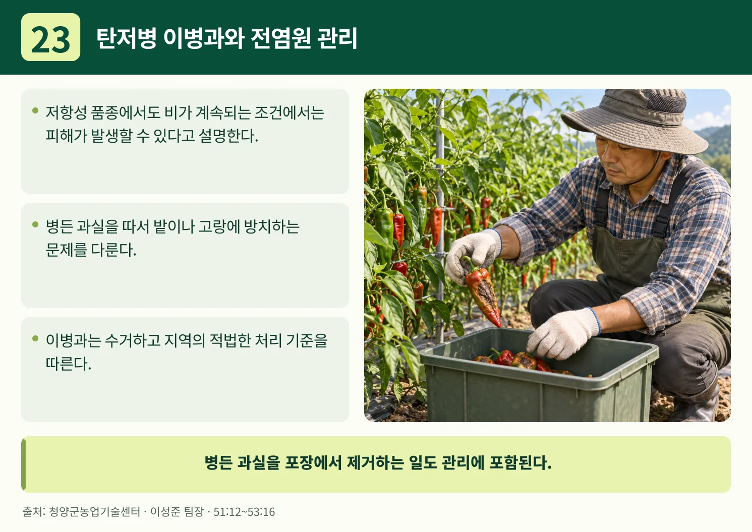 23_탄저병_이병과와_전염원_관리.webp