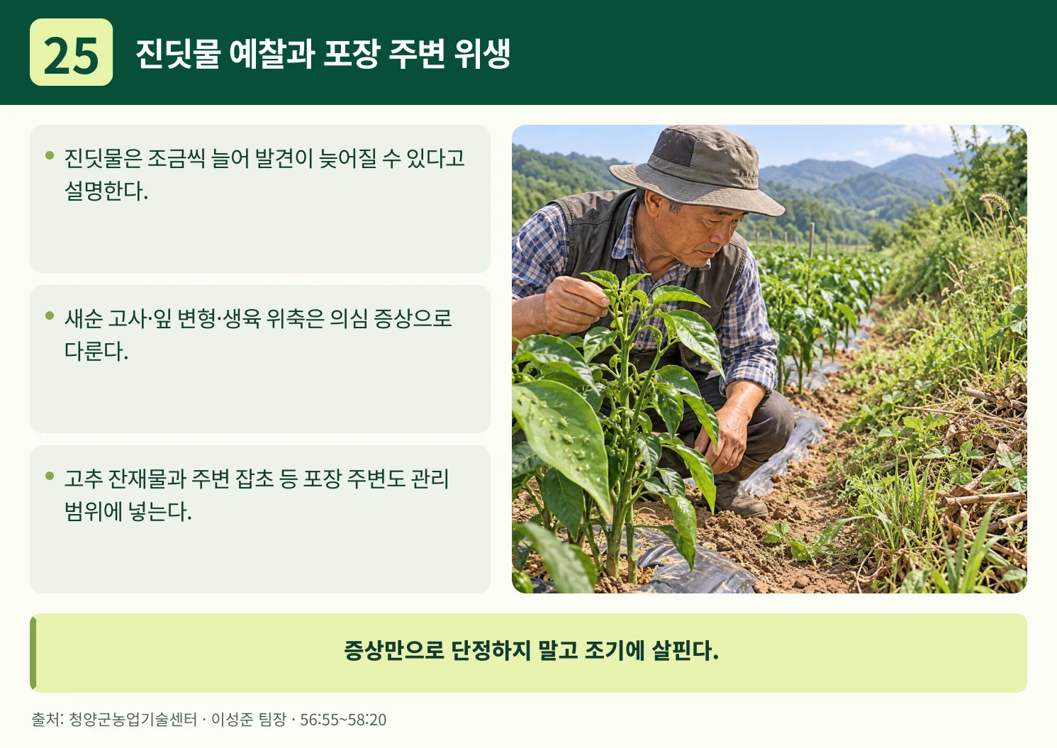 25_진딧물_예찰과_포장_주변_위생.webp