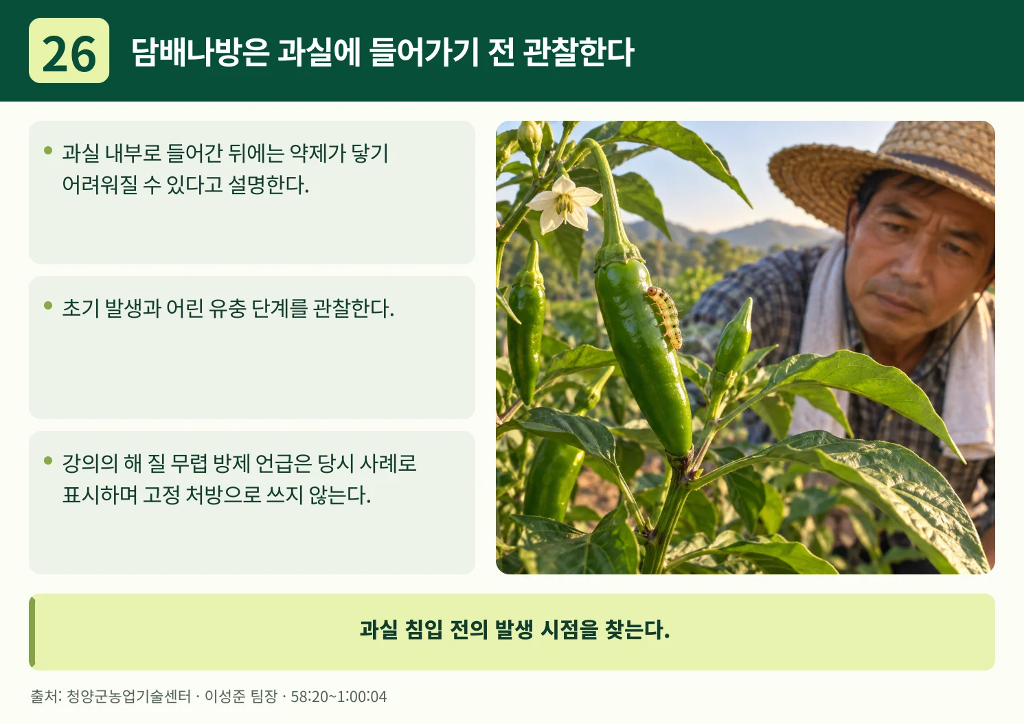 26_담배나방은_과실에_들어가기_전_관찰한다.webp