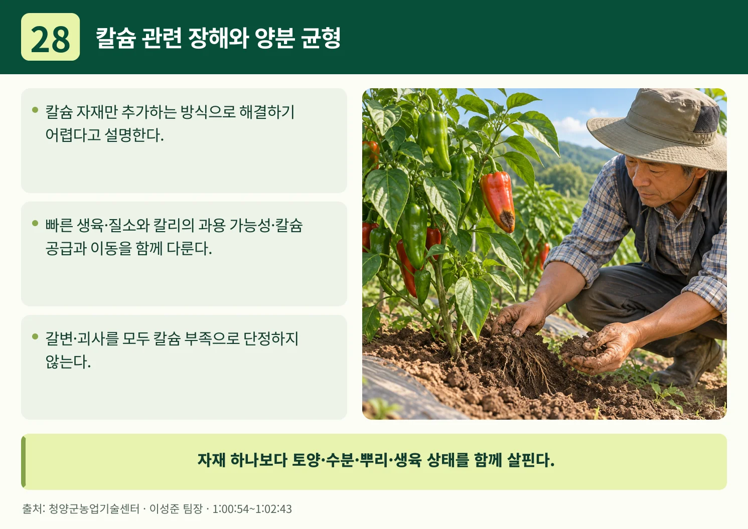 28_칼슘_관련_장해와_양분_균형.webp