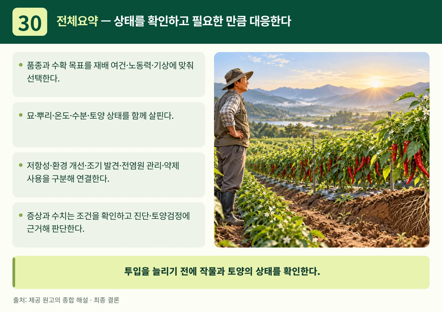 30_전체요약_상태를_확인하고_필요한_만큼_대응한다.webp