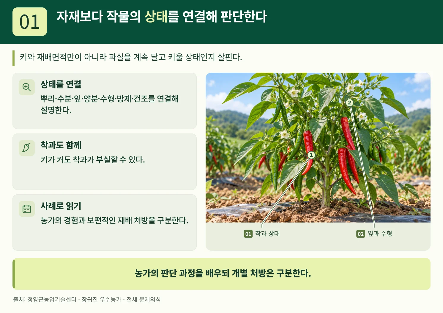 01_자재보다_작물의_상태를_연결해_판단한다.webp