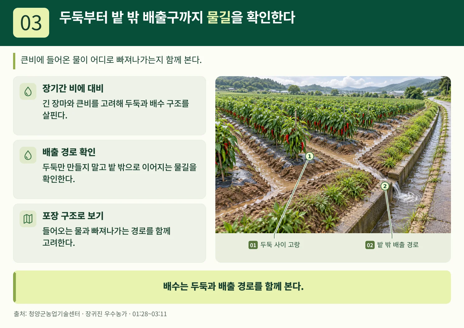 03_두둑부터_밭_밖_배출구까지_물길을_확인한다.webp