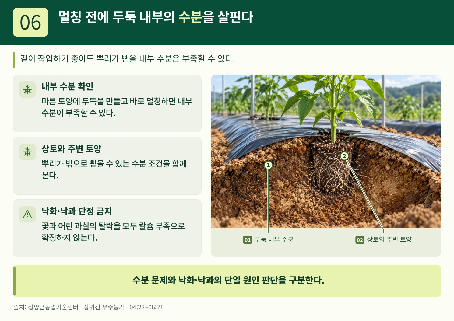 06_멀칭_전에_두둑_내부의_수분을_살핀다.webp