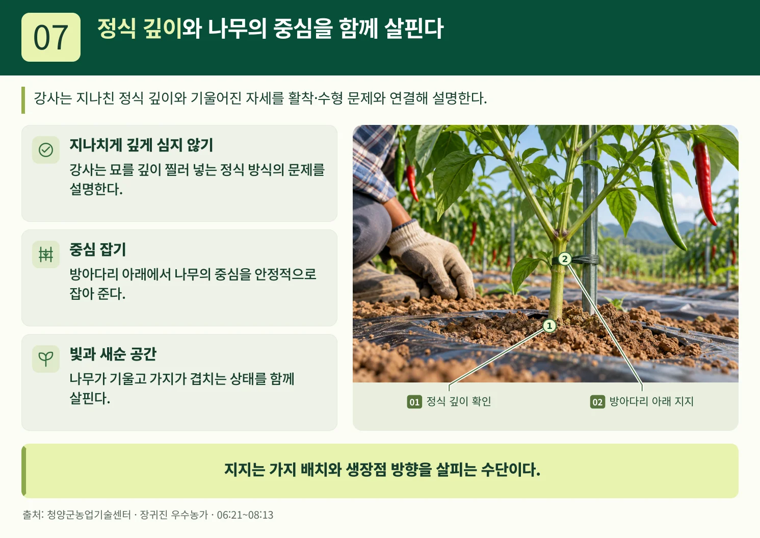 07_정식_깊이와_나무의_중심을_함께_살핀다.webp