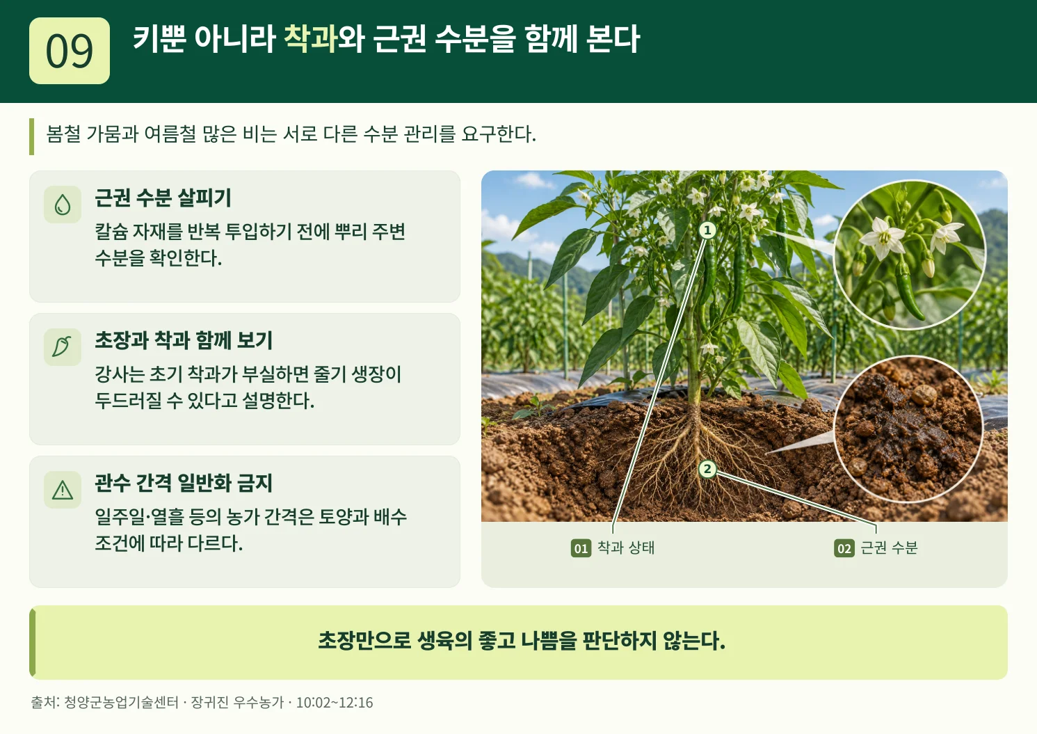 09_키뿐_아니라_착과와_근권_수분을_함께_본다.webp