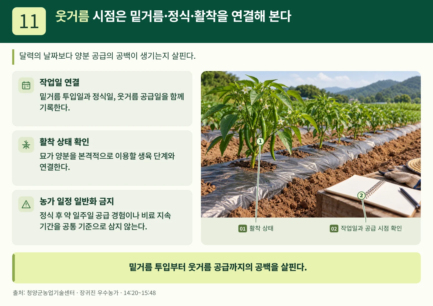11_웃거름_시점은_밑거름·정식·활착을_연결해_본다.webp