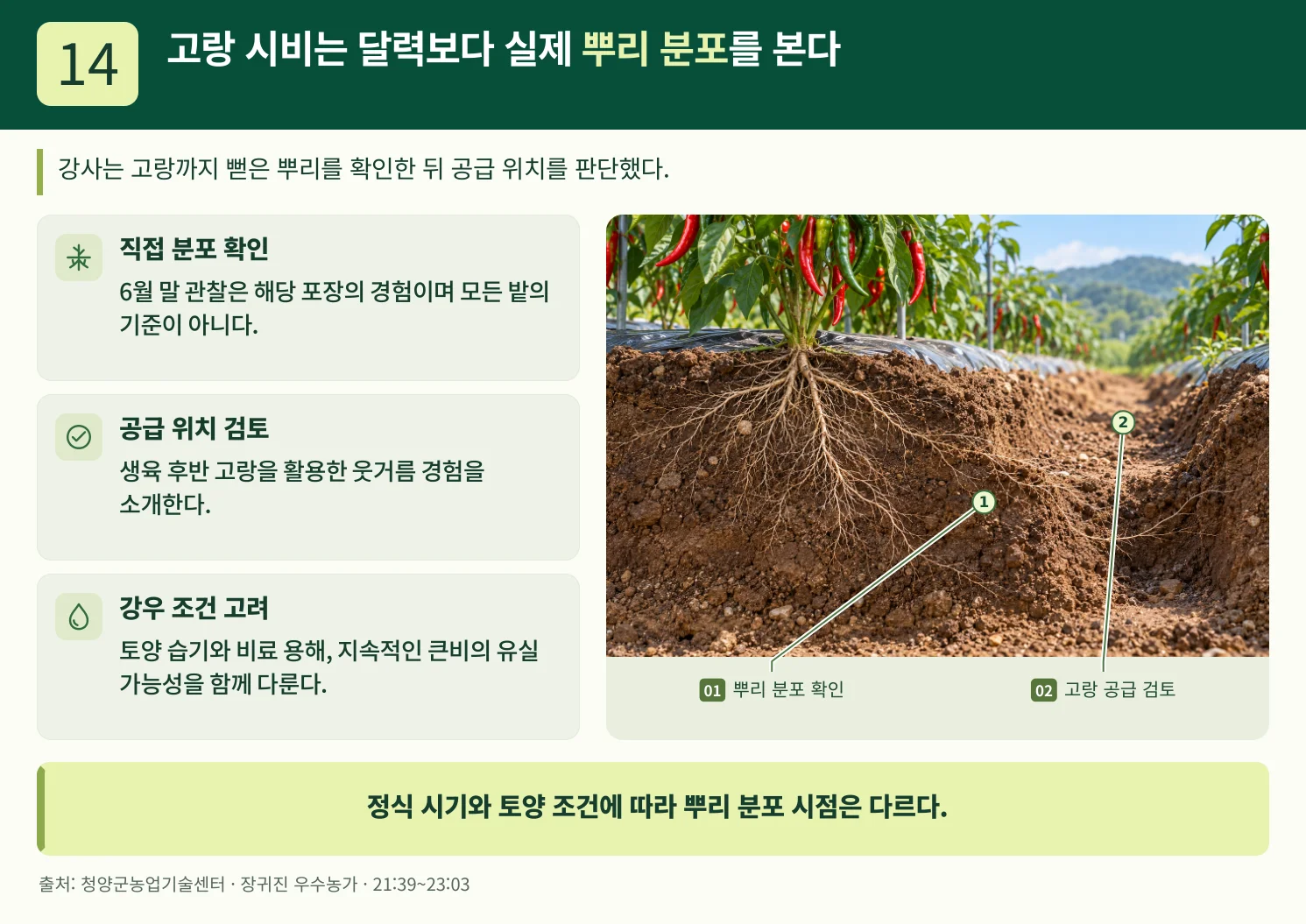 14_고랑_시비는_달력보다_실제_뿌리_분포를_본다.webp