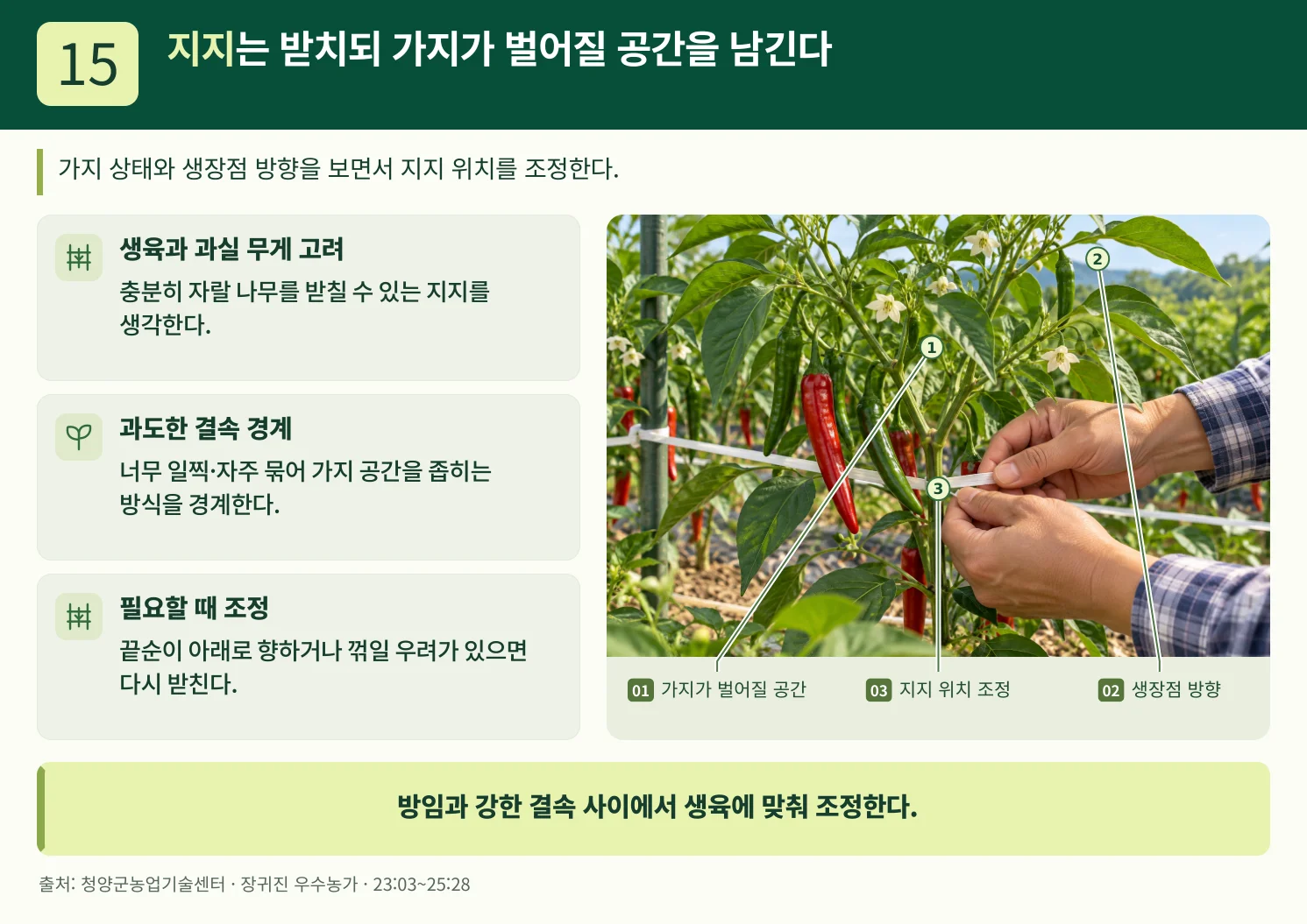 15_지지는_받치되_가지가_벌어질_공간을_남긴다.webp