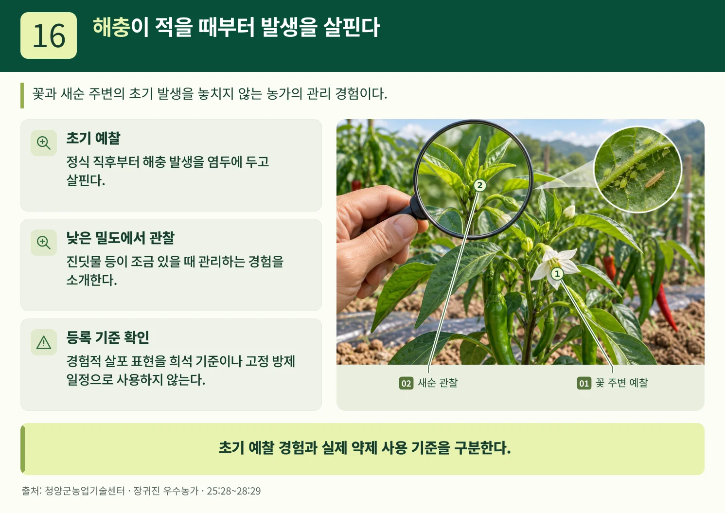 16_해충이_적을_때부터_발생을_살핀다.webp