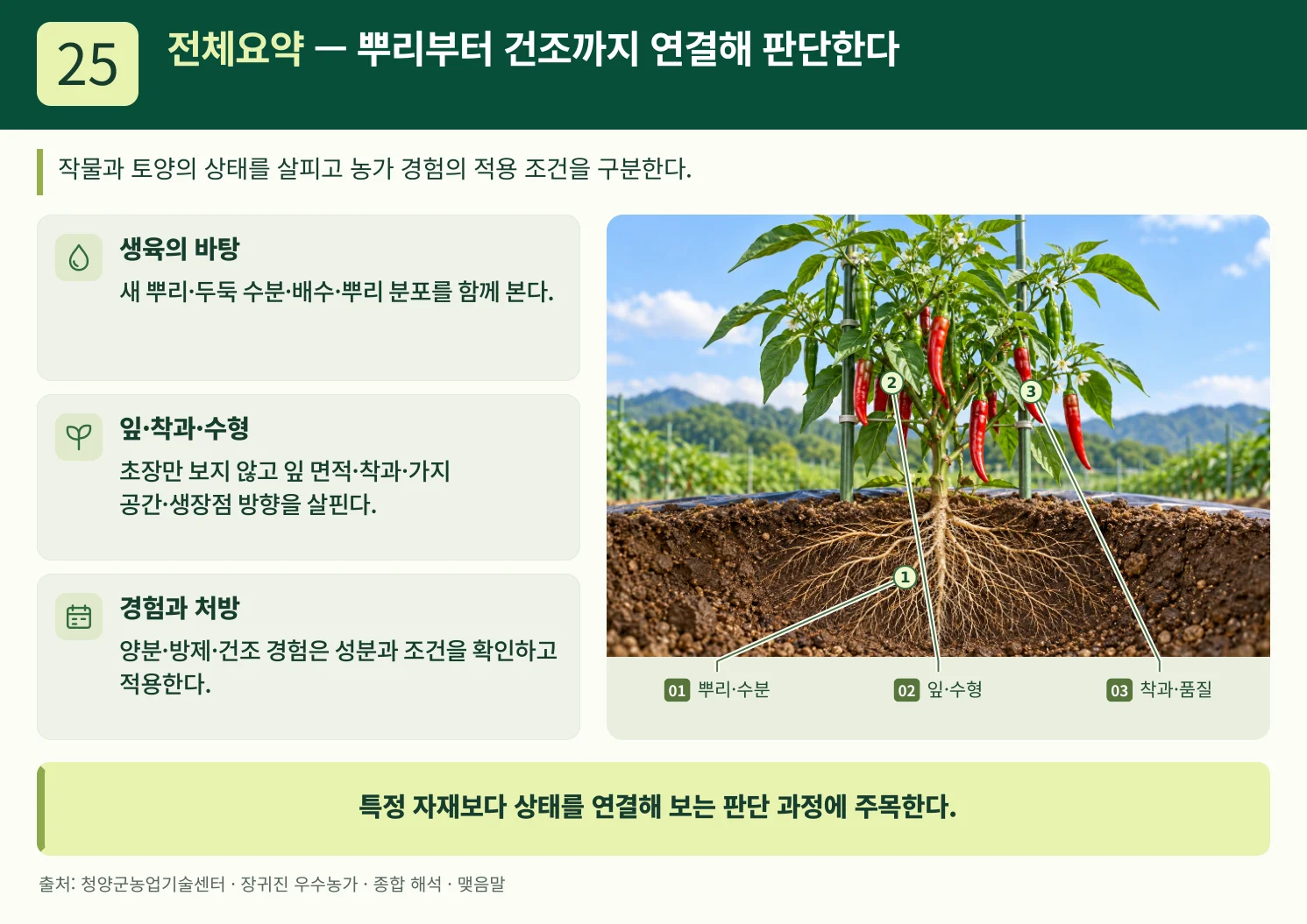 25_전체요약_뿌리부터_건조까지_연결해_판단한다.webp