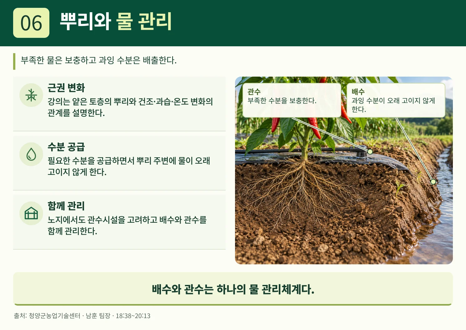06_뿌리와_물_관리.webp