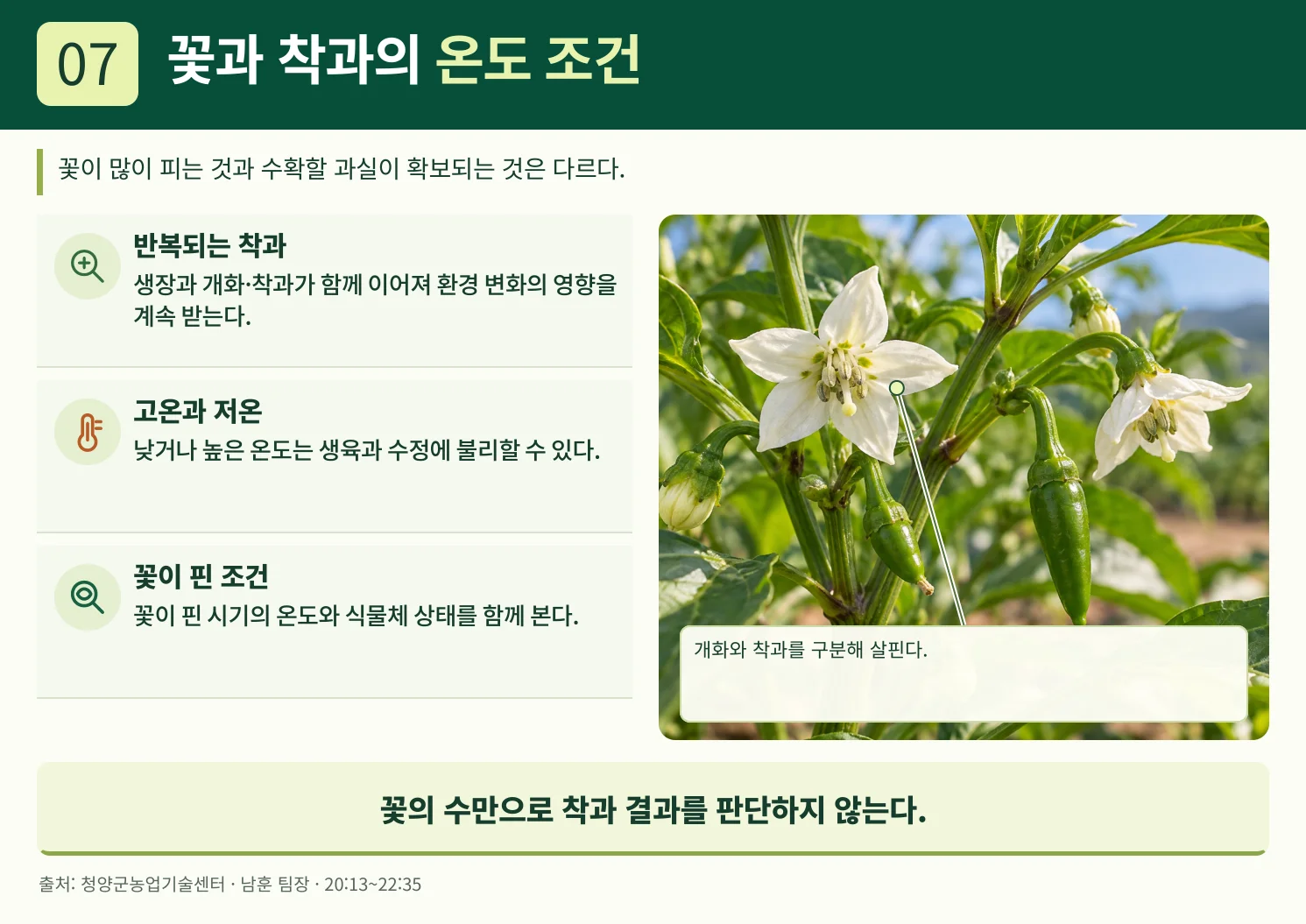 07_꽃과_착과의_온도_조건.webp