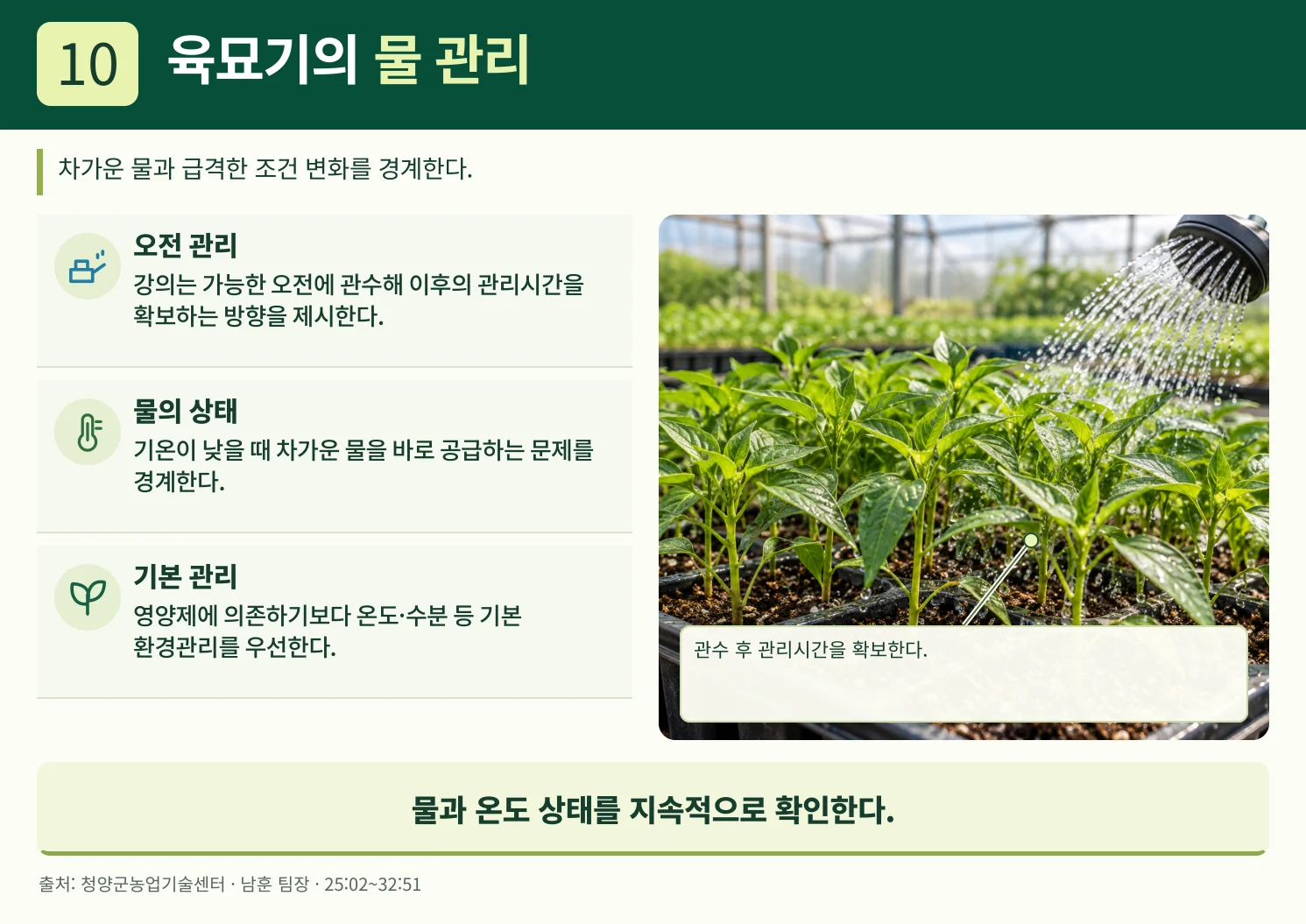 10_육묘기의_물_관리.webp