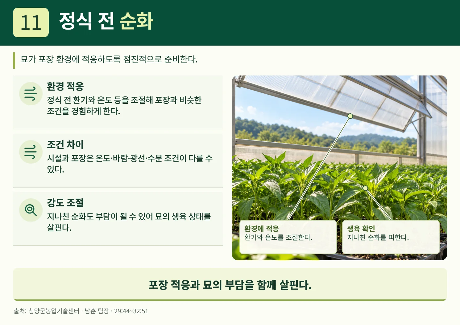 11_정식_전_순화.webp