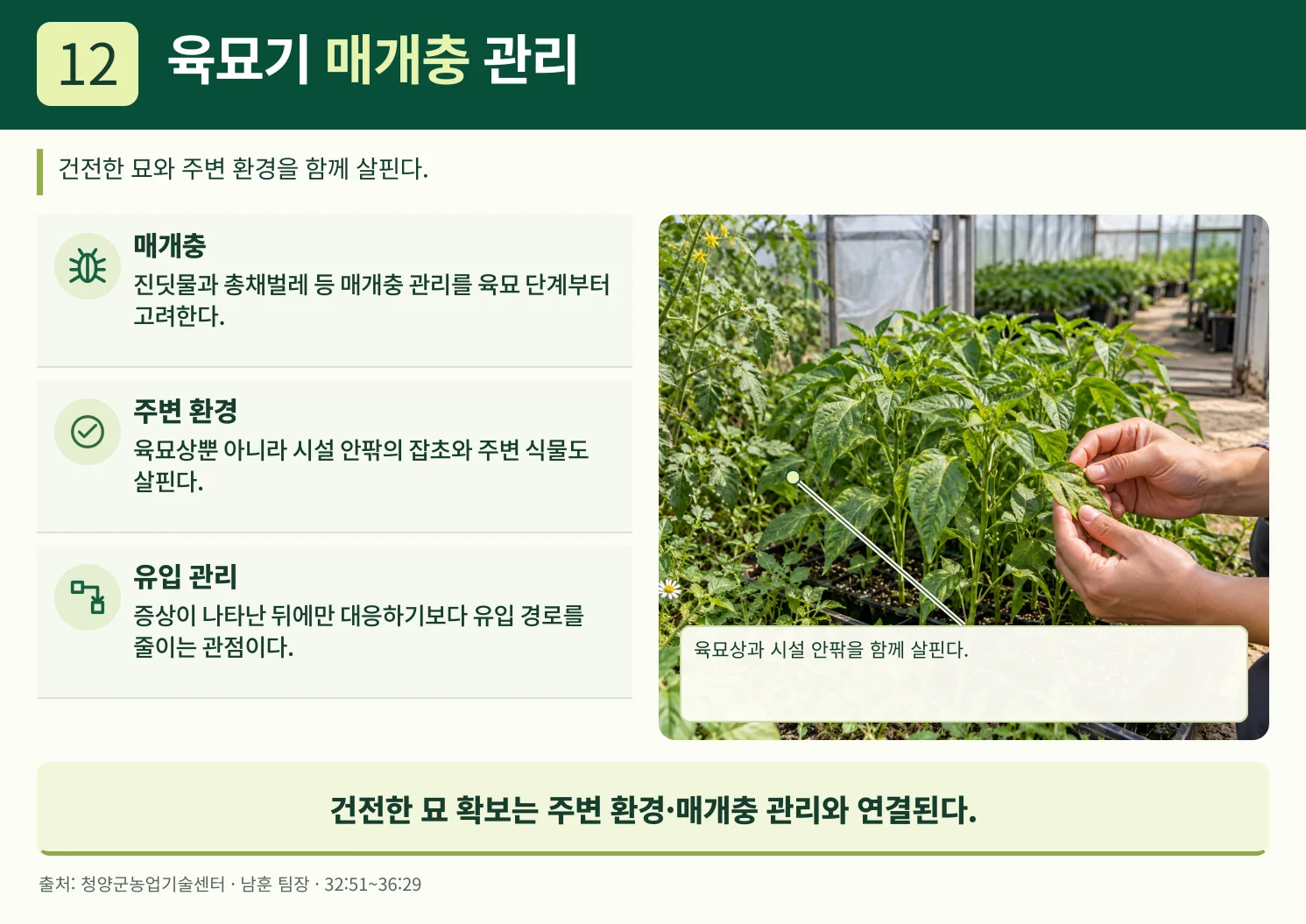 12_육묘기_매개충_관리.webp