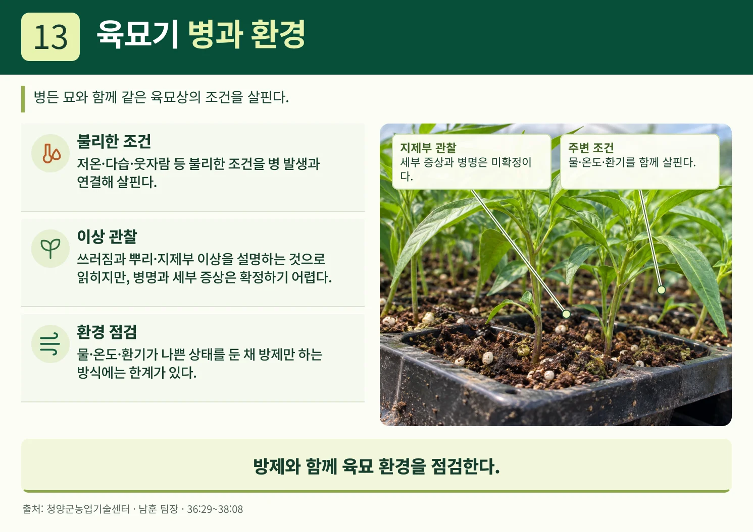 13_육묘기_병과_환경.webp