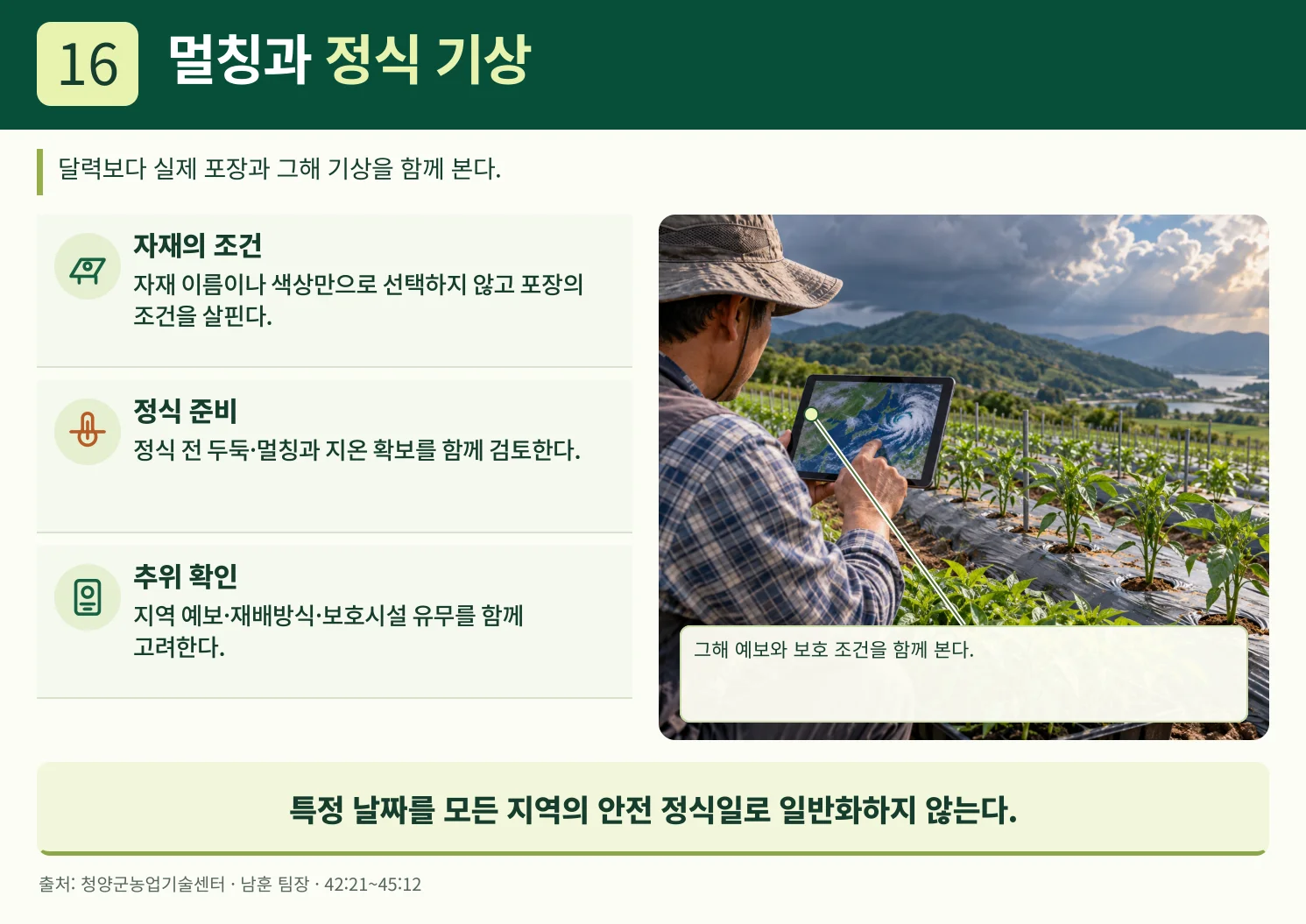 16_멀칭과_정식_기상.webp