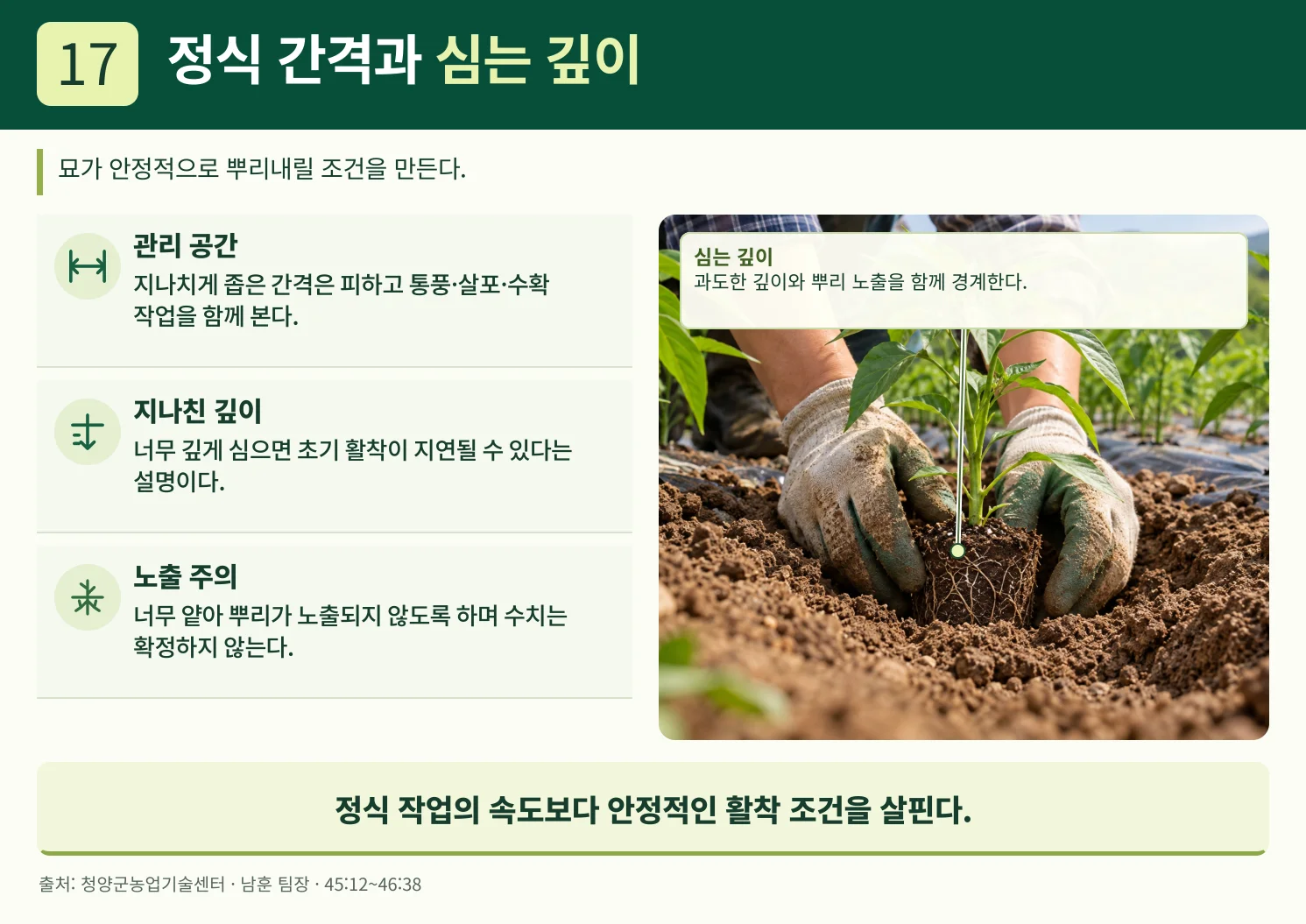 17_정식_간격과_심는_깊이.webp