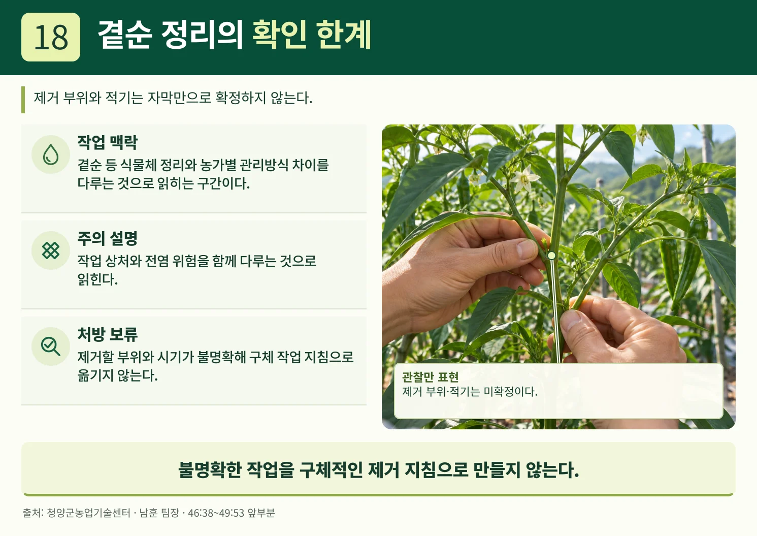 18_곁순_정리의_확인_한계.webp
