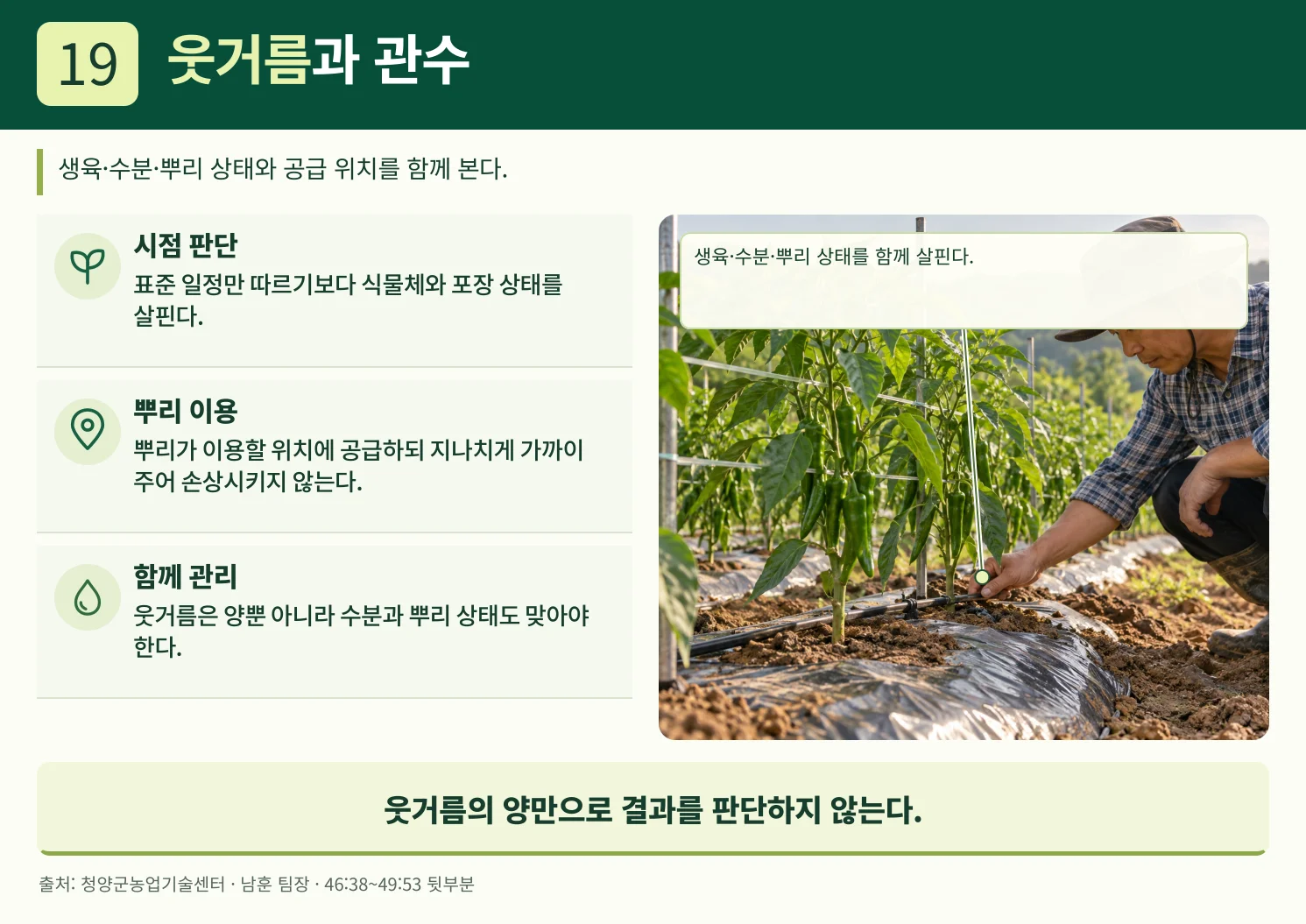 19_웃거름과_관수.webp