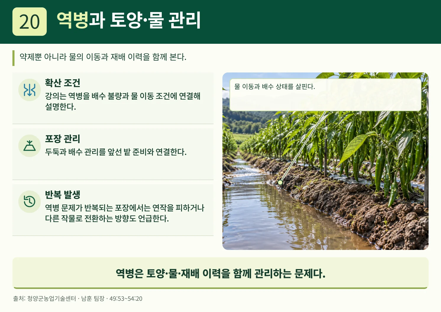 20_역병과_토양·물_관리.webp