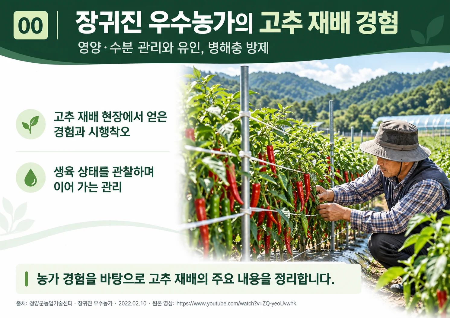 00_pepper_farmer_experience.webp