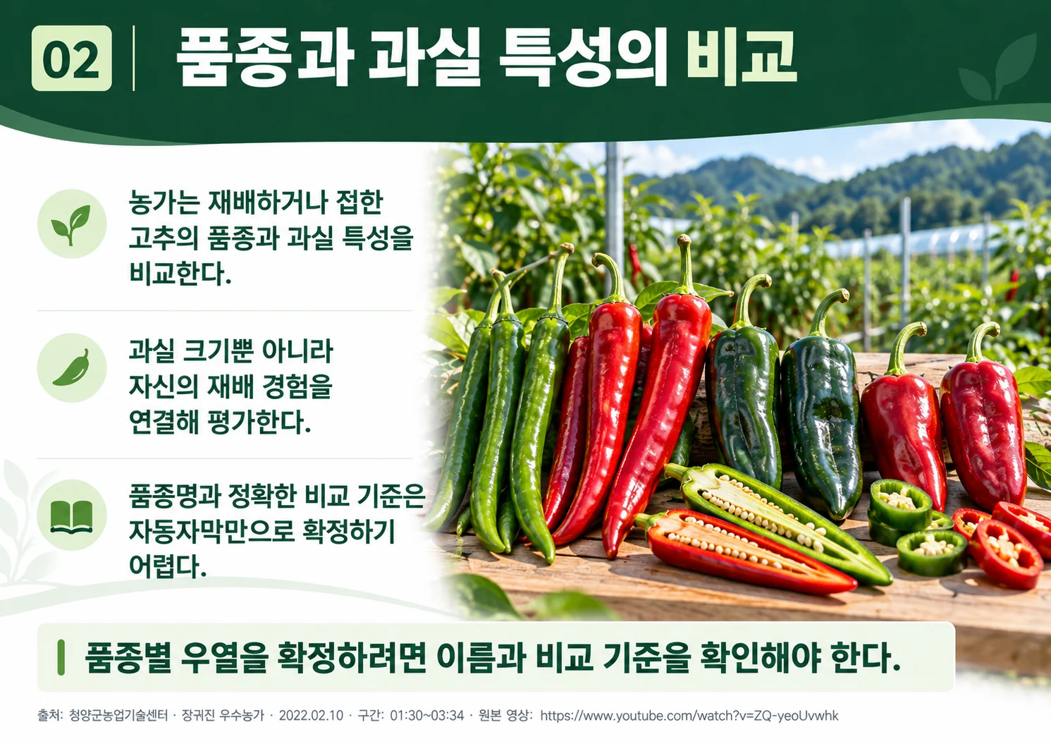 02_variety_fruit_comparison.webp
