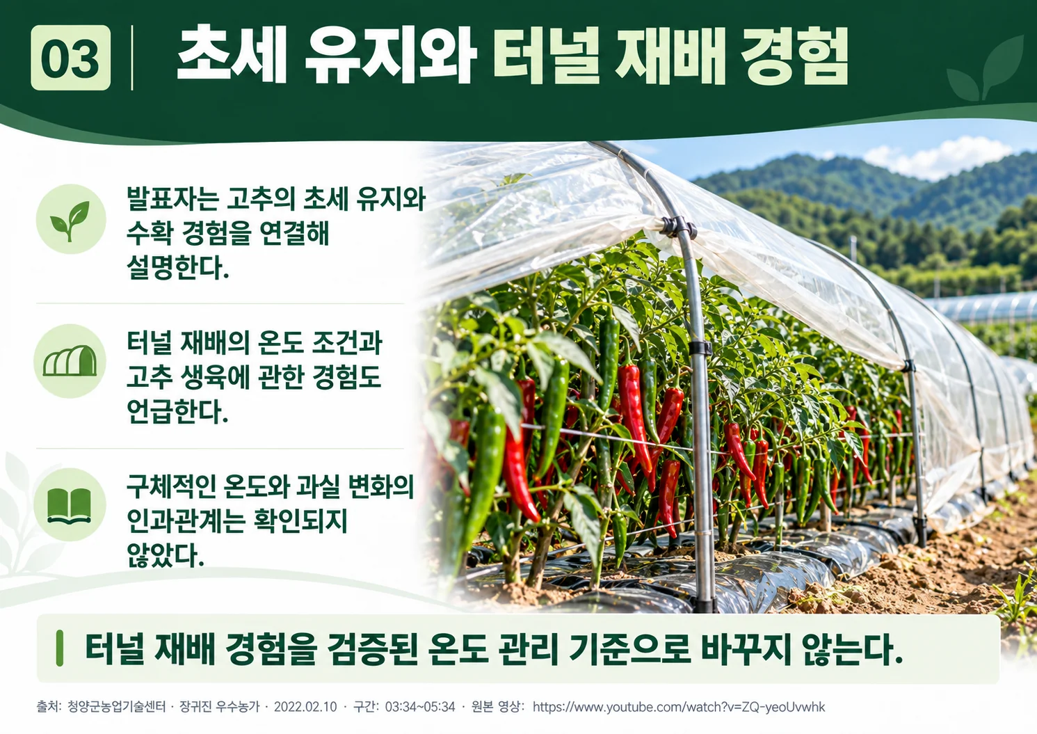 03_tunnel_growth_experience.webp