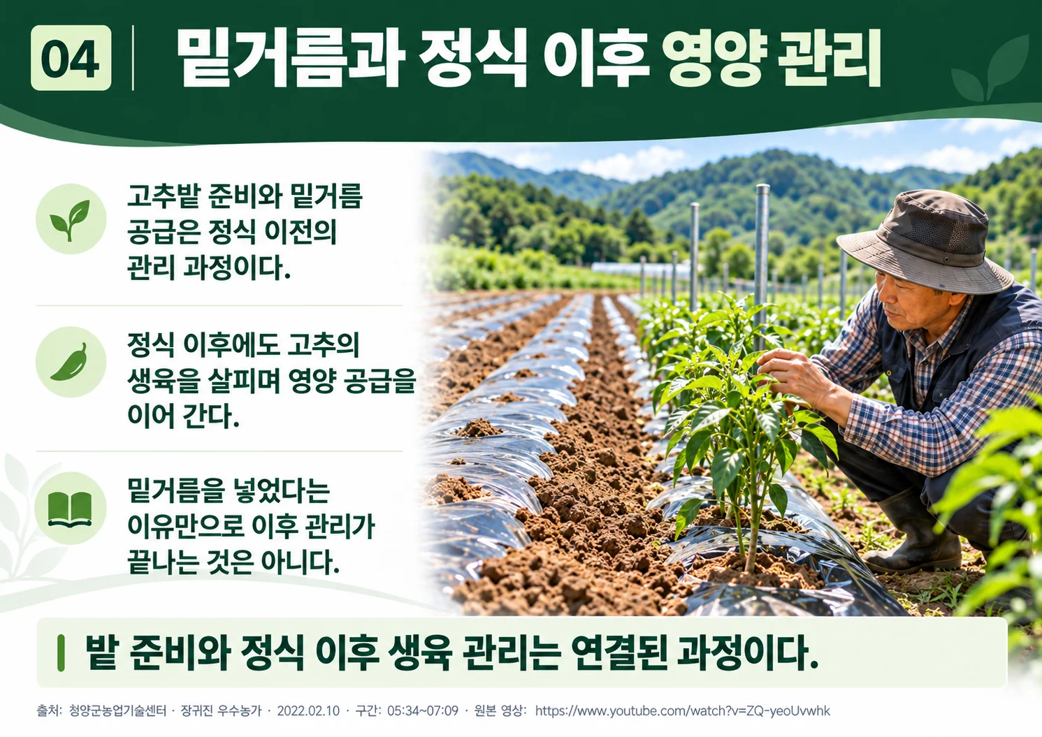 04_basal_fertilizer_management.webp