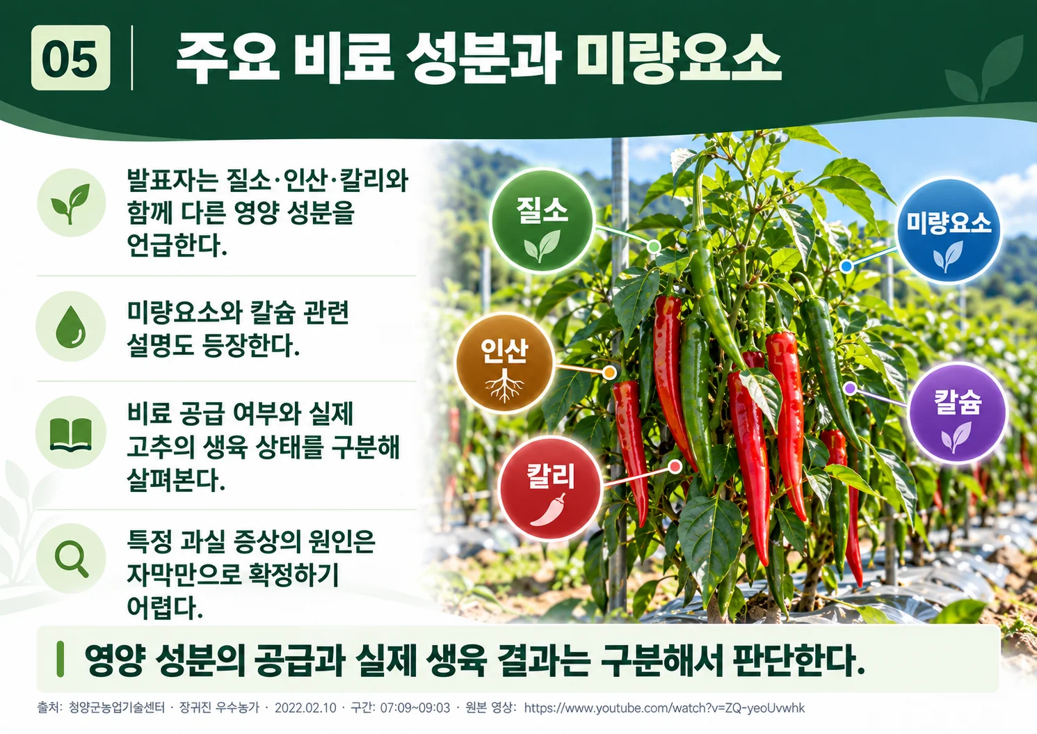 05_nutrients_micronutrients.webp