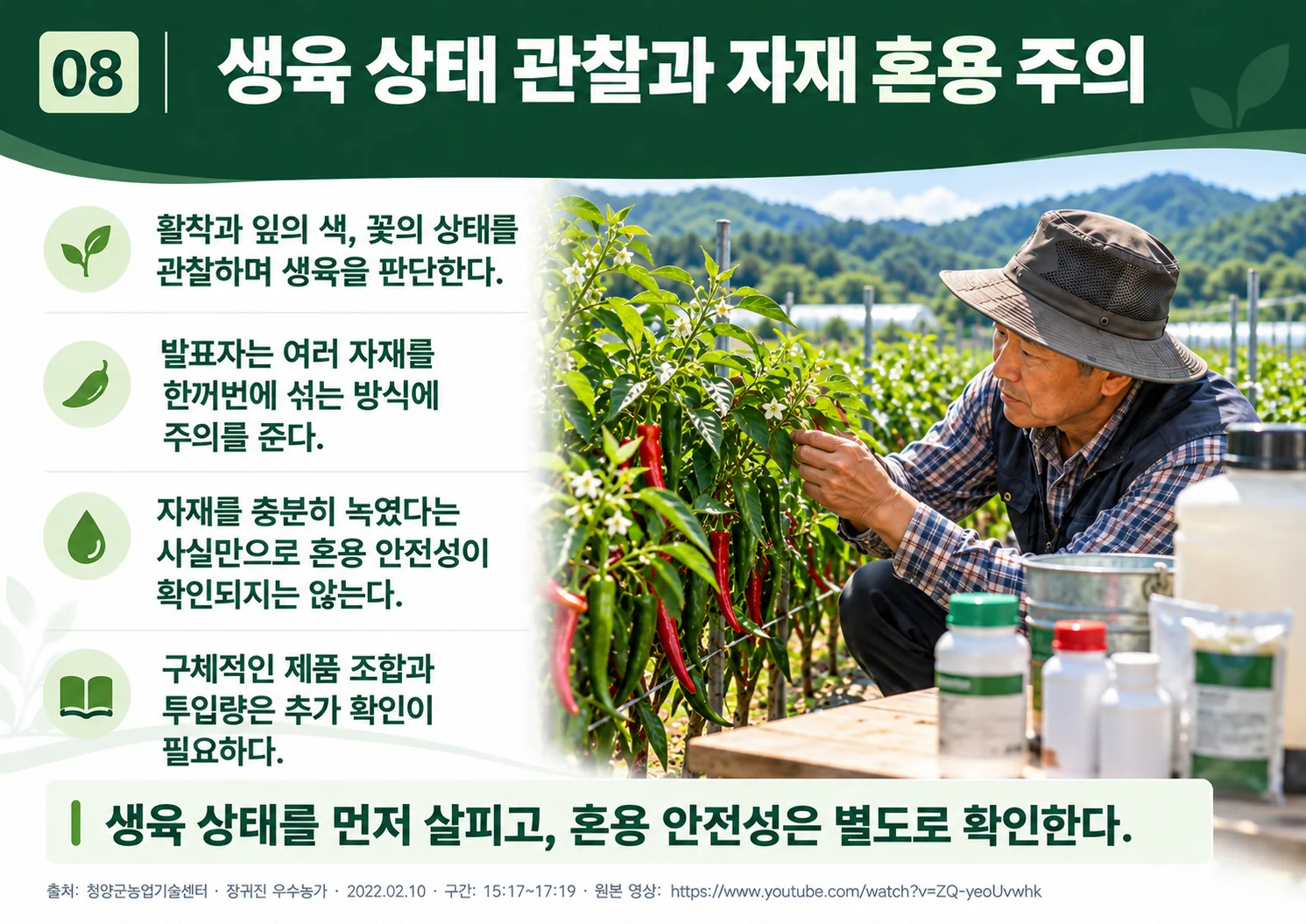 08_growth_observation_mixing_safety.webp