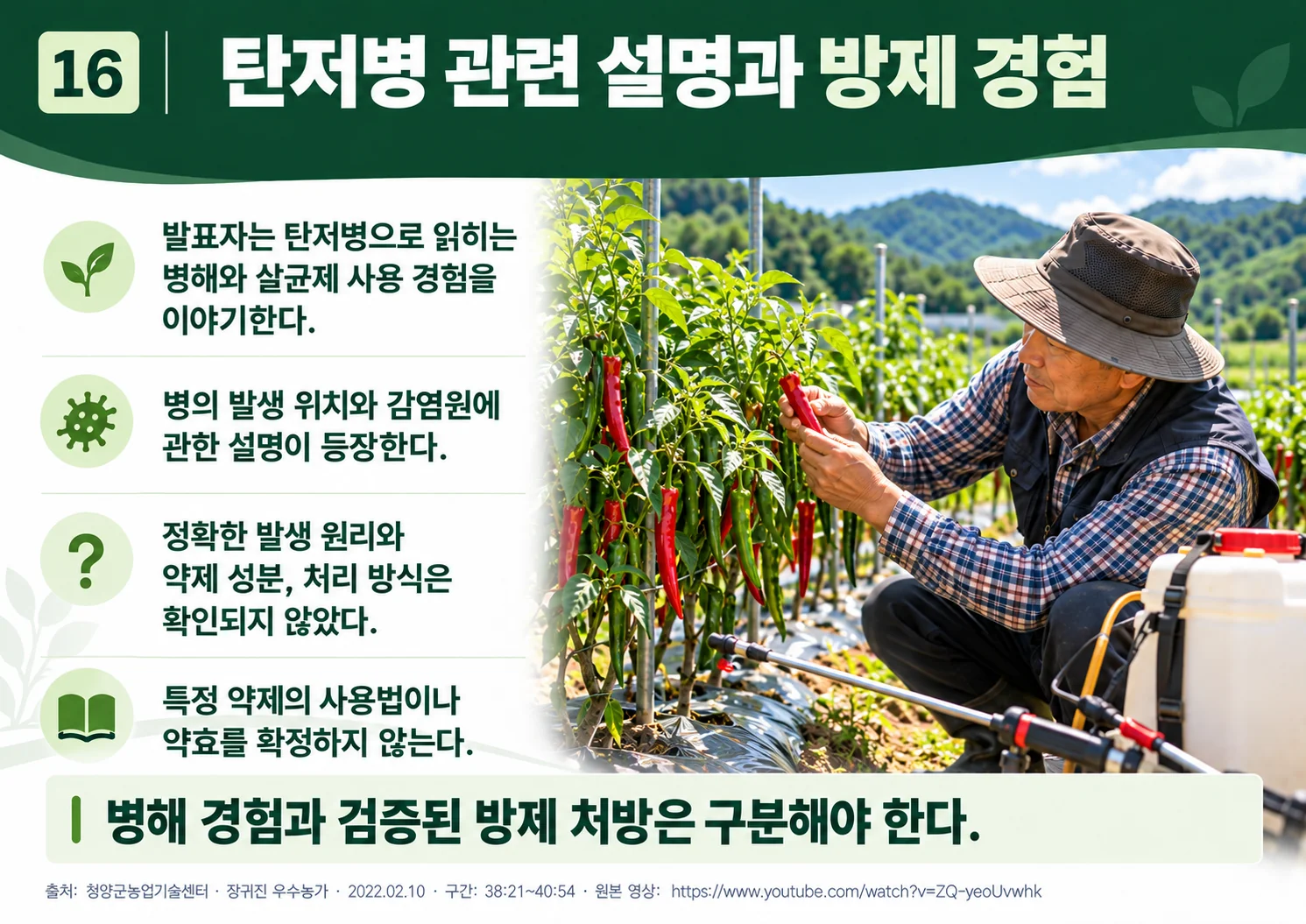 16_anthracnose_control_experience.webp