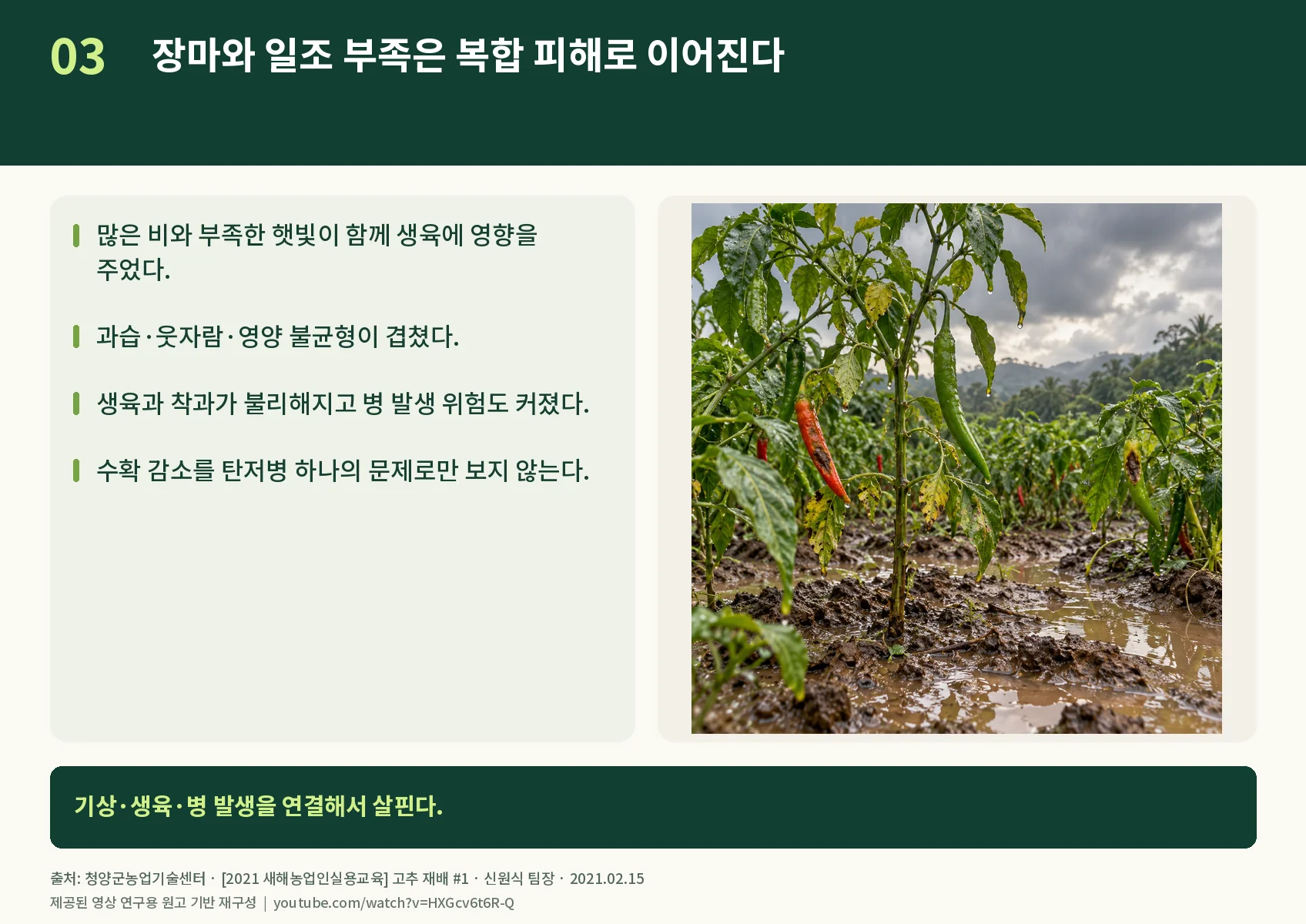 03_rain-and-sunlight.webp